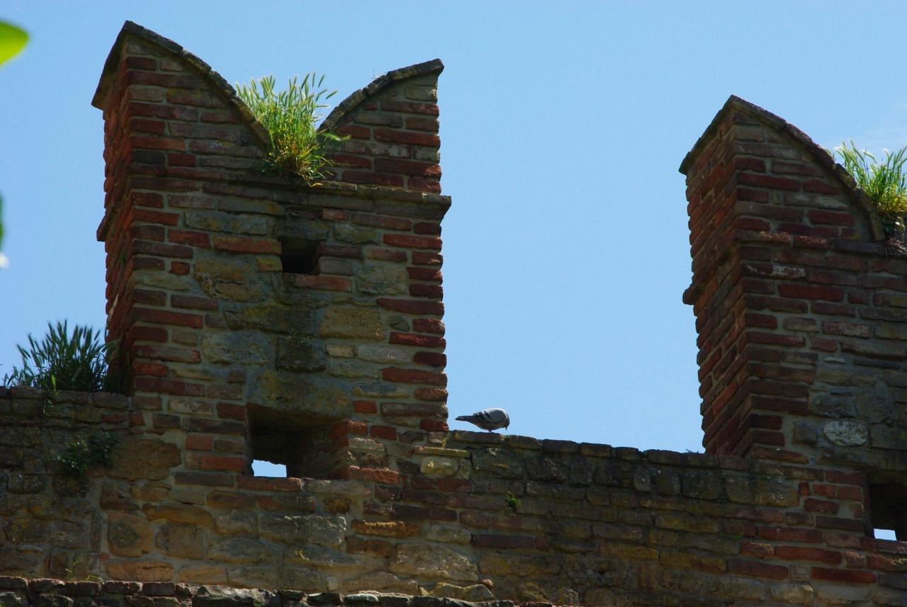 Villa Dircea CastellʼArquato Extérieur photo